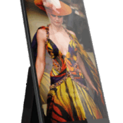 ALIZEY CITY DISPLAY 43" OUTDOOR